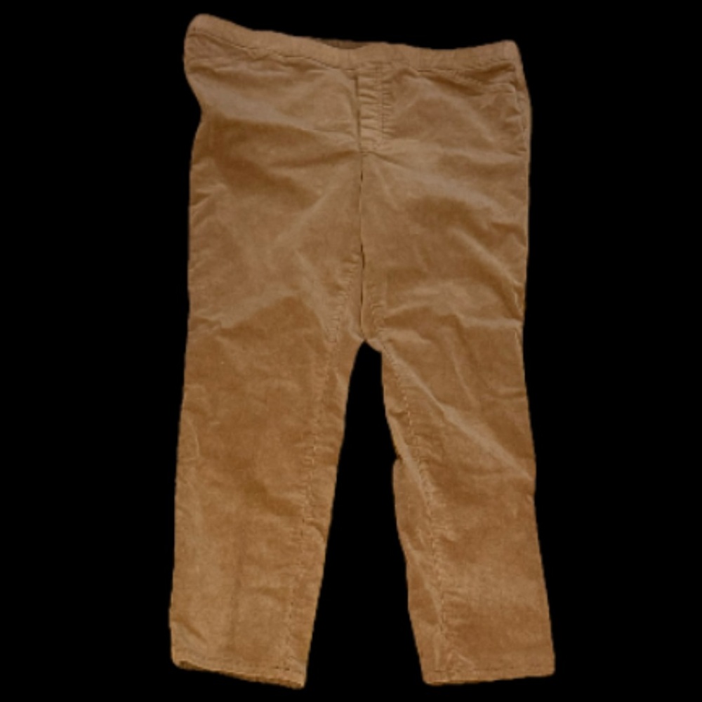 J. Jill Women's Pants Tan Velour Pull On Elastic Waist Size L Petite